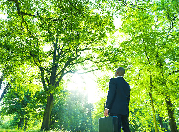 green-business