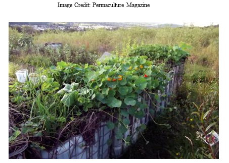 abundant outdoor garden