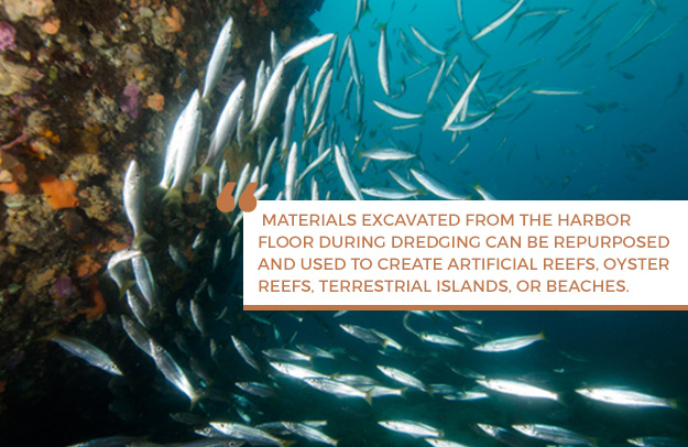 Environmental Impacts Quote