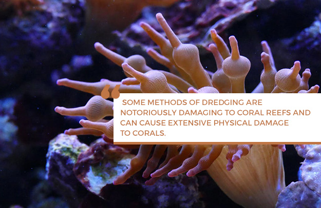 Environmental Impacts of Dredging on Coral Reefs