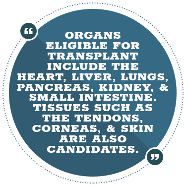 organs eligible transplant quote
