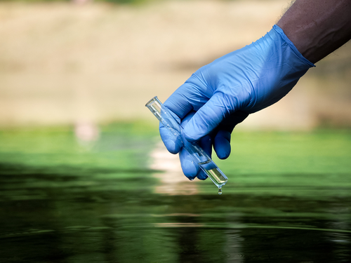 Water sample