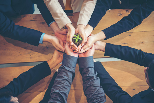 Sustaining green business