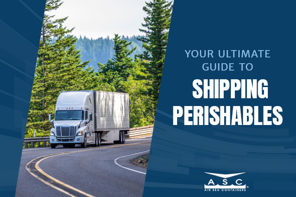 Void Fill 101: A Guide to Safe Shipping and Transporting Goods