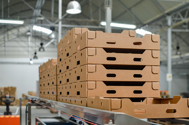 Your Guide to the Types of Corrugated Boxes for Bulk Shipping by
