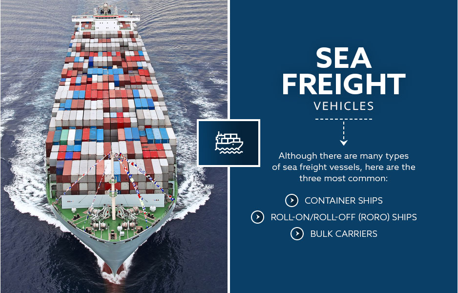 sea freight vehicles and capacity